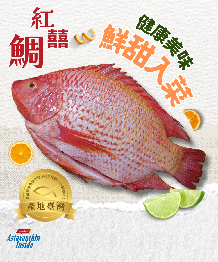 太禓創意LemnaAsta-紅囍鯛 鯛魚饕客驚喜推薦 蝦紅素鯛魚 大尾 (600g/隻) (三去後實際重量)